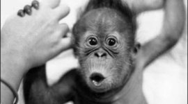 Timeline: Delaney was born