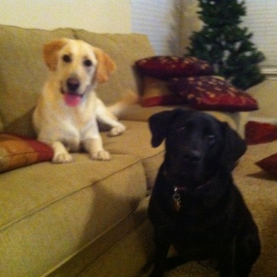 Timeline: The Cold War