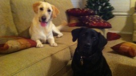 Timeline: The Cold War