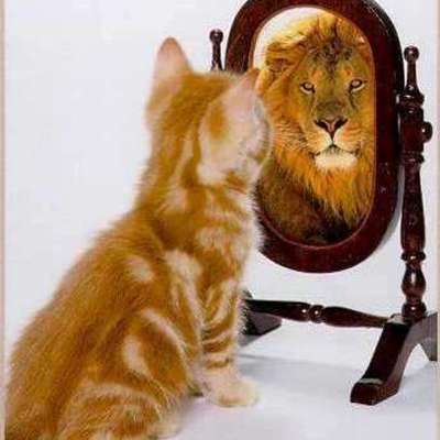 Timeline: Zoraida y su historia