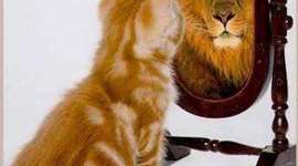 Timeline: Zoraida y su historia