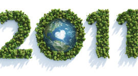 Timeline: My Year In Review.