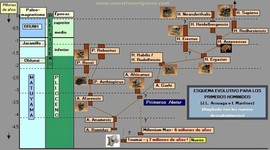 Timeline: ÁRBOL GENEALÓGICO DE LOS HOMÍNIDOS