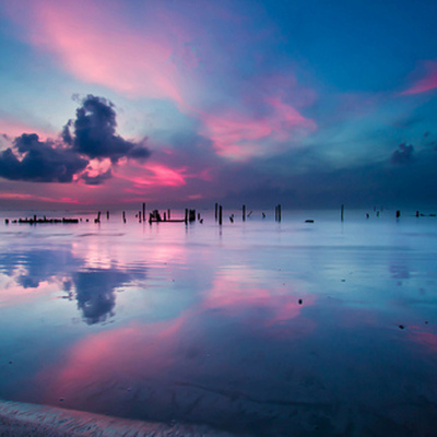 Timeline: Lo más importante del 2011