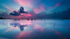 Timeline: Lo más importante del 2011