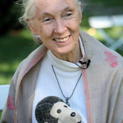 Timeline: Jane Goodall's Life