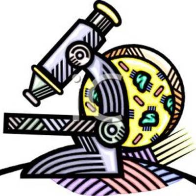 Timeline: The Microscope and Cells