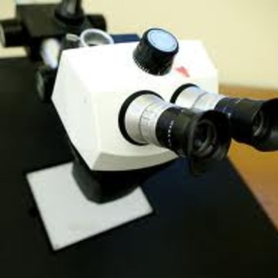 Timeline: Mr. Hood's  assignment for microscope and cell