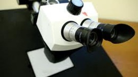 Timeline: Mr. Hood's  assignment for microscope and cell