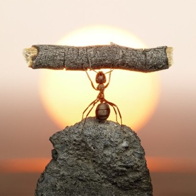 Timeline: A Shamelessly Awesome History of Modern Psychology