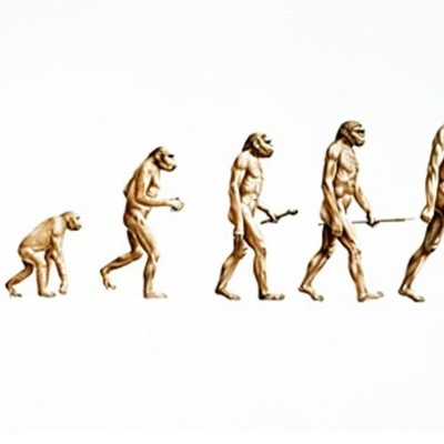 Timeline: Evolution/Natural Selection Haylie Dennis