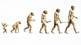 Timeline: Evolution/Natural Selection Haylie Dennis