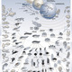 Paleoweb evolution poster