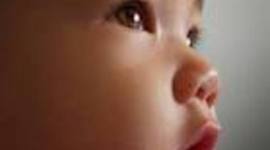 Timeline: Olivia 7th Hour