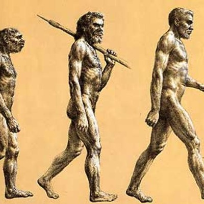 Timeline: How Evolution Began
