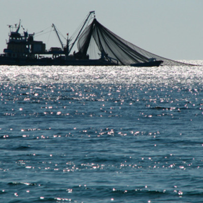 Timeline: Ley de General de Pesca y Acuicultura