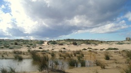 Timeline: Historia LA DEVESA DEL SALER