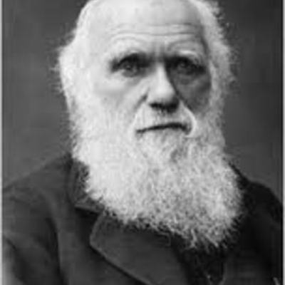 Timeline: Alfred Wallace