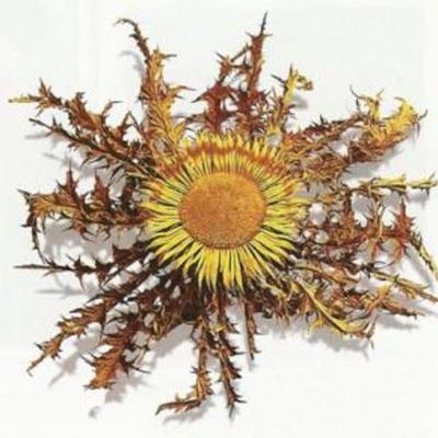 Timeline: EUSKARA HISTORIAN ZEHAR