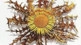 Timeline: EUSKARA HISTORIAN ZEHAR