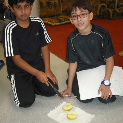 Timeline: All About Me