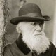 Charles darwin 2