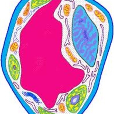 Timeline: Science Timeline