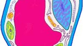 Timeline: Science Timeline