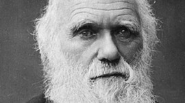 Timeline: Biografía de Darwin