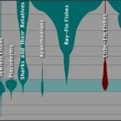 Timeline: Pre-Darwinism&extra credit!