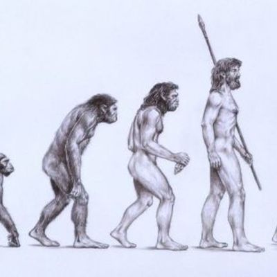 Timeline: Pre-DArwin Evolutionary Theory
