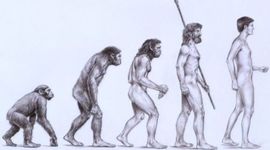 Timeline: Pre-DArwin Evolutionary Theory