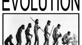 Timeline: Pre&Post Darwinian Theories of Evolution