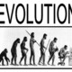 Evolution