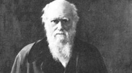 Timeline: Post and Pre Darwin