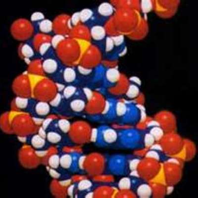 Timeline: The years before and after