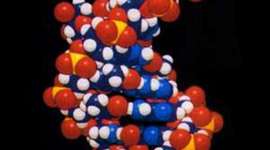 Timeline: The years before and after