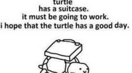 Timeline: Alex's Timeline