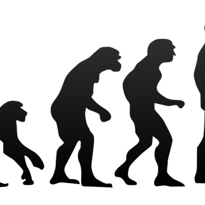 Timeline: Pre-and Post Darwinian Theories