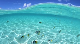 Timeline: U.S. Imperilisim: Hawaii