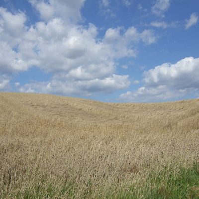 Timeline: Sara's Day