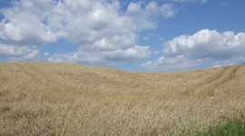 Timeline: Sara's Day