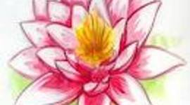 Timeline: Ma journée