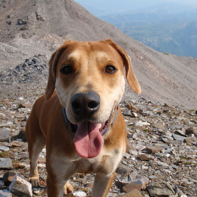 Timeline: Dissertation Completion Plan