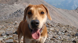 Timeline: Dissertation Completion Plan