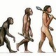 Evolution