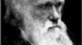 Timeline: Pre-Darwinian Timeline