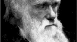 Timeline: Pre-Darwinian Theories