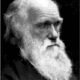Darwin