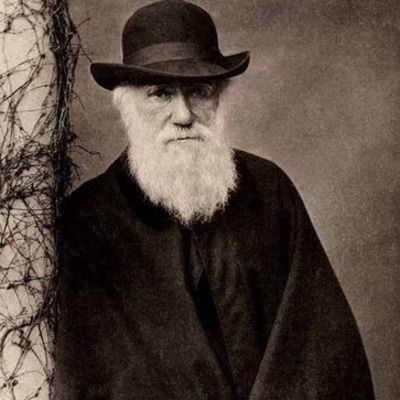 Timeline: Pre Darwin Timeline